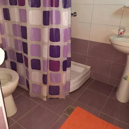 Pensiunea Ira Pensjonat *