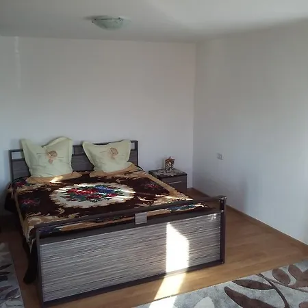 Pensjonat Pensiunea Ira